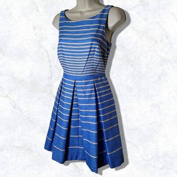Taylor (Anthropology) Textured Pleated Striped Blue & White Fit & Flare Dress - Picture 3 of 8